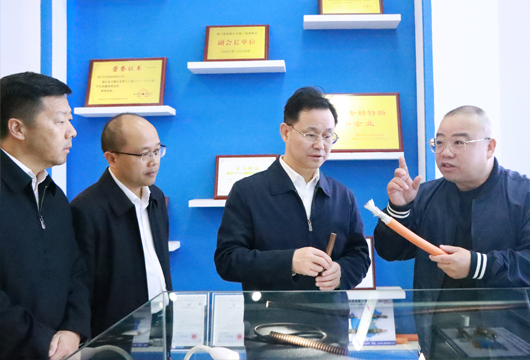 中共荊門(mén)市委副書(shū)記、荊門(mén)市人民政府陳家偉市長(zhǎng)蒞臨湖北艾克電纜調(diào)研指導(dǎo)工作！